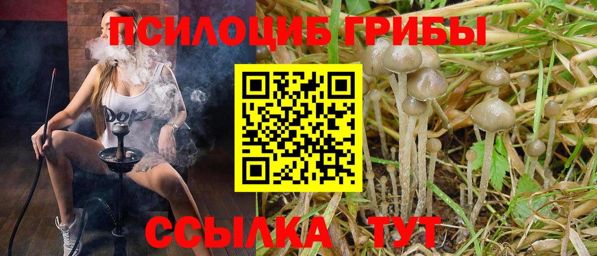 Галлюциногенные грибы ЛСД Керчь