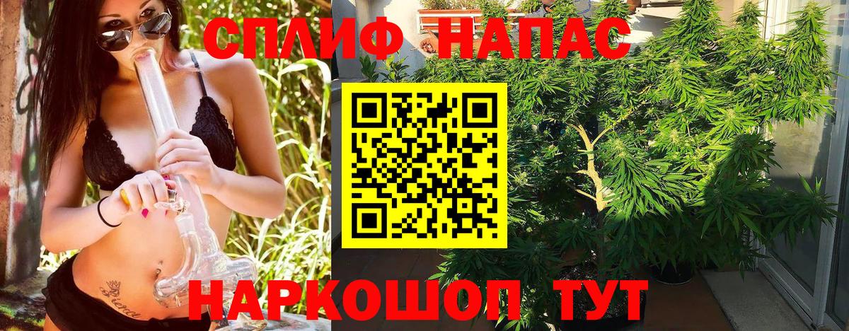 Конопля Amnesia Керчь